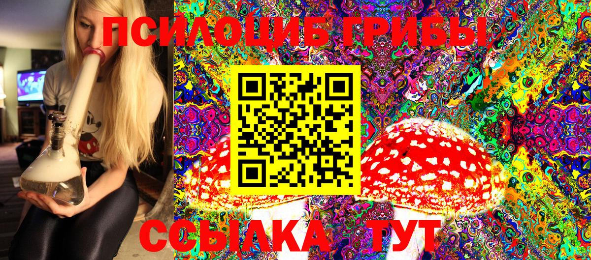 Псилоцибиновые грибы мухоморы Ахтубинск
