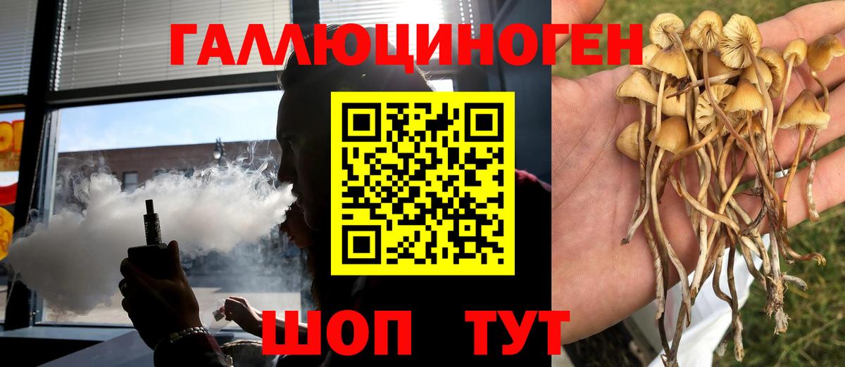 Ахтубинск  Псилоцибиновые грибы MAGIC MUSHROOMS  Вход с VPN  Псилоцибиновые грибы Magic Shrooms 
